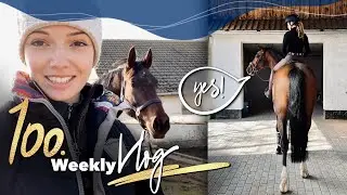 IHR habt den 100. Vlog gestaltet 🥳 | Weekly Vlog #100