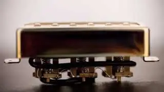 Phat Staple: Seymour Duncan Custom Shop
