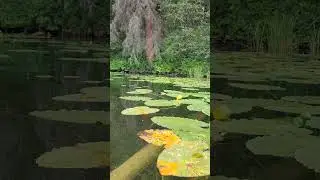 Crystal Lake, Cariboo Region, BC