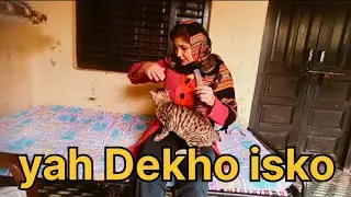 Village life 💁💁 आज पूरा दिन छाई रही धुंध#reema singh#(vlog)🙏