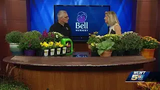 Bell Nursery helps keep your garden growing through Autumn