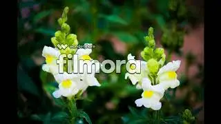 CANON 600D pics result