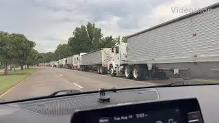 Farmers taking their corn crop to the grain elevator