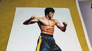 A3 size excellent Bruce art prints ideal for framing