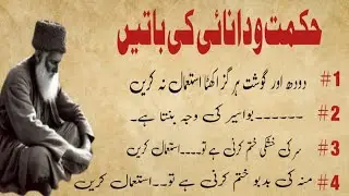 Hikmat ki batai | Tib ki batai | ilam ki batai | golden words | Urdu Turkey