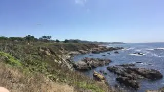 Thoughts from the beach