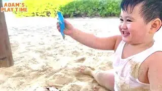 Find zoo and safari animals in the sand | Adam&rsquo;s Playtime