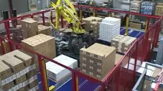 Two palletizers for 16 SKU system