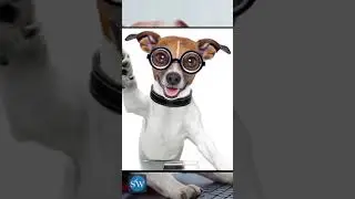 Being a South Carolina Real Estate Geek Video #shorts