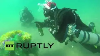 Russia  Watch divers drink Champagne with New Year tree UNDERWATER