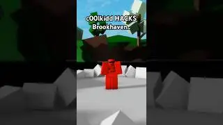 HACKING Brookhaven.. #roblox #brookhaven #hacker #trolling #c00lkidd #funny #shorts