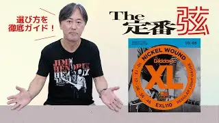 The定番弦 D'Addario : EXL110 Regular Light 試奏：大渡 亮
