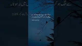 Verse of Quran #quotes #shorts #ayaats #trending #poetry