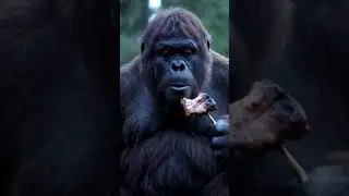 Bigfoot Cooks Jungle Meat Like a Savage Chef 🔥🍖&rdquo;BigfootVlog #JungleDining #Savag  #BigfootCooks