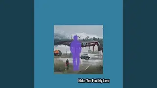Make You Feel My Love
