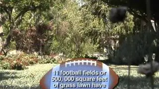 iClip - 500th Lawn to Garden