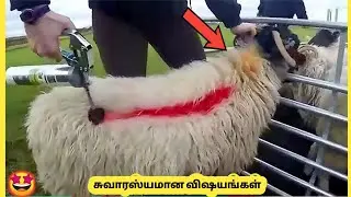 | Mind Blowing Things You Must Know | Story Bytes Tamil
