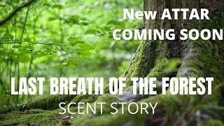 SCENT STORY- Last breath of the forest - Attar (concentrated oil)