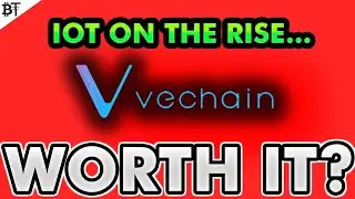Vechain Crypto Review 2021/2022: Worth Investing in?