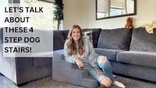 Let&rsquo;s talk about these 4 step dog stairs!