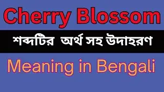 Cherry Blossom Meaning In Bengali /Cherry Blossom mane ki