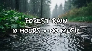 🌧️ Forest Path Puddle Rain 🌧️ 10 Hours | Deep Sleep & Calm Night | No Music