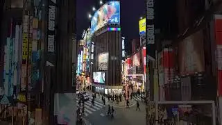 Shinjuku, Tokyo　新宿駅　東南口付近　甲州街道高架から　東南口広場　　新宿ランブリングロード　武蔵野通り　20251129　カメラ Google Pixel 5a