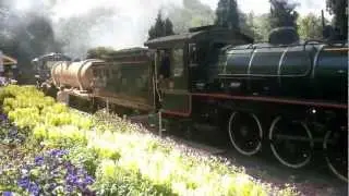 Steam Train - Spring Bluff - 2012