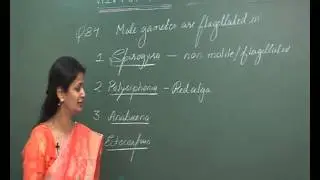 AIPMT 2015 Solution-Biology Video Q.No.84 Aakash Institute