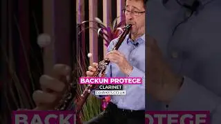 How does this Backun Cocobolo Wood Clarinet play?