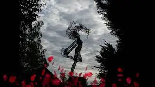 Sculpture fit ball...Wire sculptor