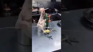 high level comedy