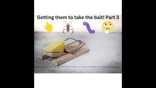 The best pest control service near me - Part 3 🤪🐜😲🤌✌️