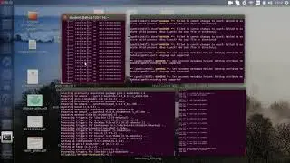 CustomTopology NFM+HopCount