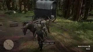 Hidden Dialogue If You Steal Elias Green&rsquo;s Bear Hat - Red Dead Redemption 2