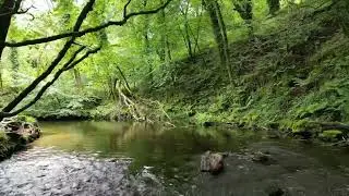 Golitha Falls, Cornwall