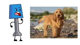 Object Invasion Characters and their Favorite Dog Breeds