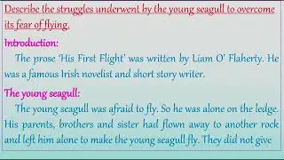His First Flight 10th std English paragraph answer