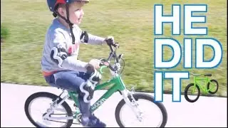 🚲Toddler Can Ride a Pedal Bike! NO Training Wheels! | Woom Bike Review | steffiethischapter