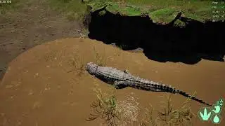 não desista dos seus sonhos, vamos a jogar, use como entrerimento meus videos.
