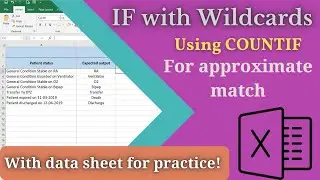 MS Excel Function - IF with Wildcards for approximate match (Using COUNTIF)