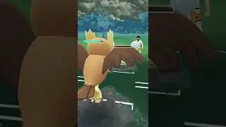 Dubwool and Miltank ready to farm some dust for GO Battle League Season 12 [Pok&eacute;mon GO]