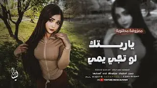 معزوفة مطلوبة _ ياريتك لو تجي يمي _ ترند تيك توك مطلوبة أكثر شي 2025 