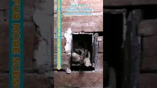 How many code violations? Part 3