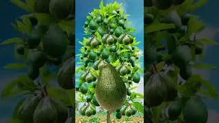 #shortsviral #funnytemplates #fruit #funny