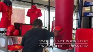 Atlanta&rsquo;s Best Boxing Gym, Sweet Science Boxing Club