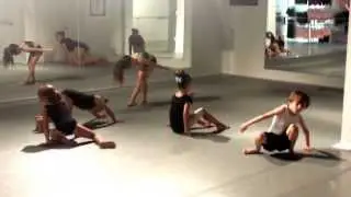 Animals Improv Summer of Movement