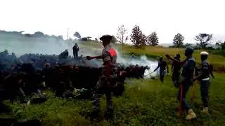 Polac training
