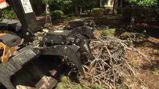 Top of the Hour - Storm Debris Removal