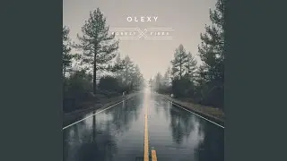 Road in the Forest